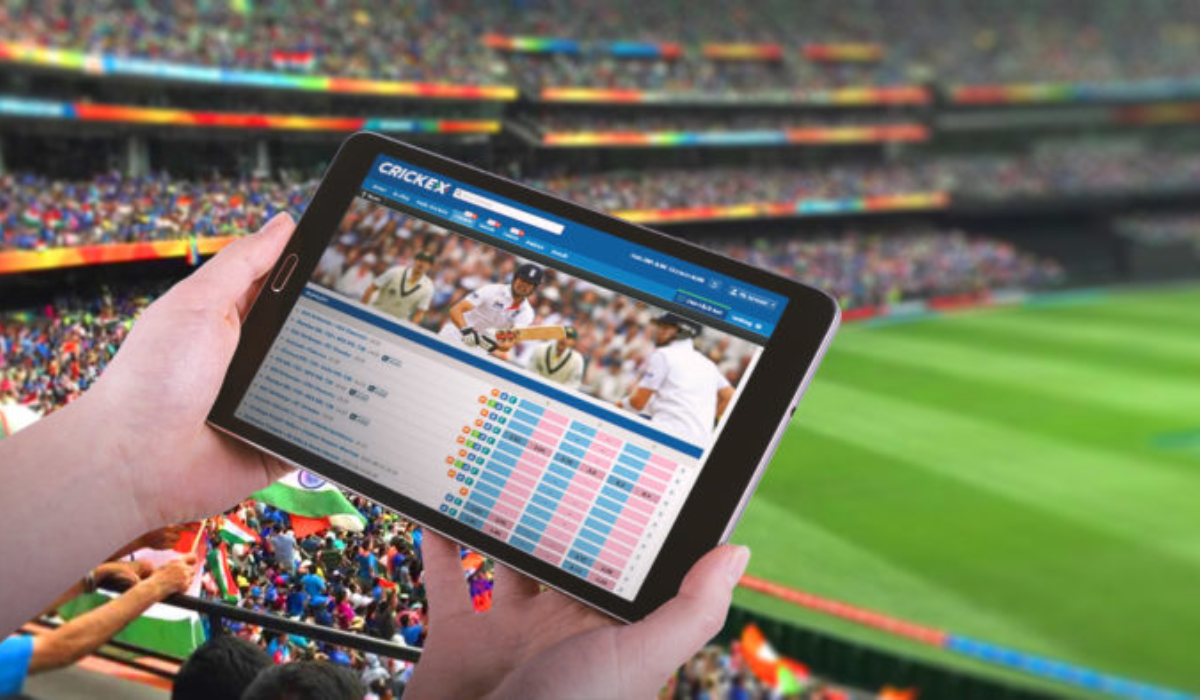 Cricket Betting Rules Every User Should Know Casino ID Guide